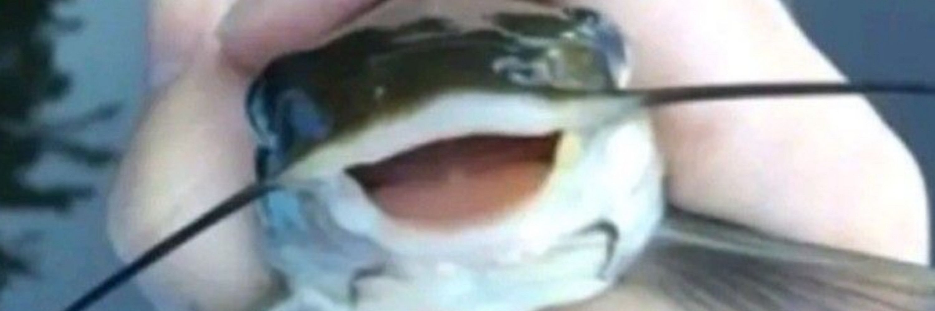 DusAlex