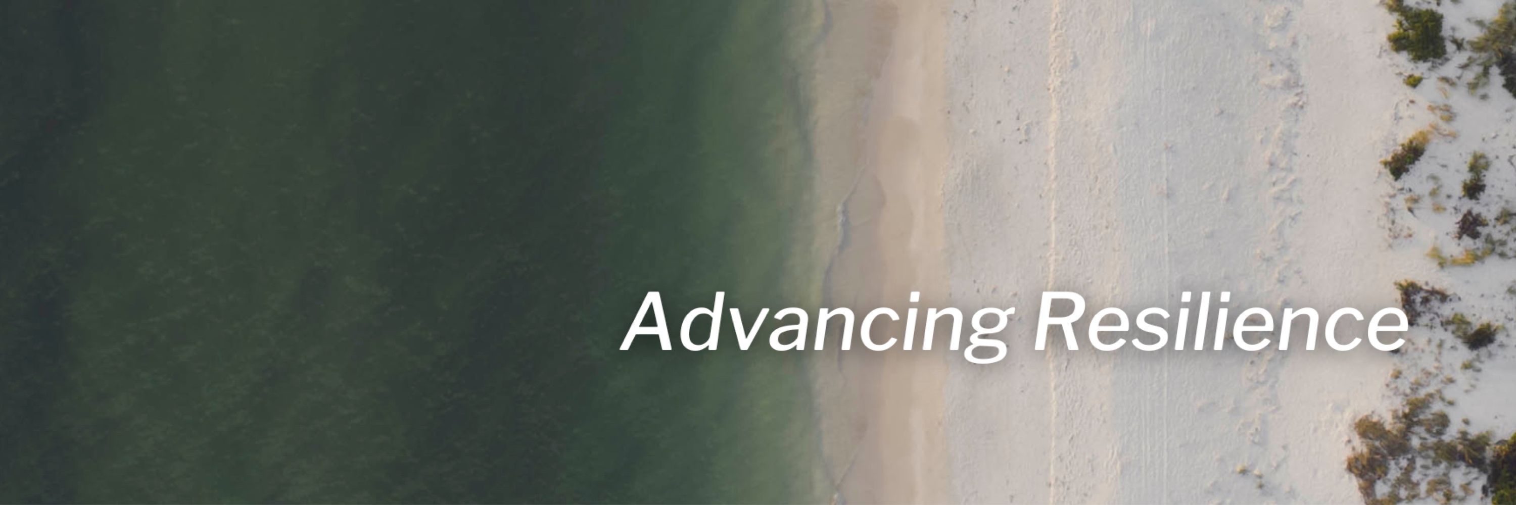Global Resilience Partnership (GRP)