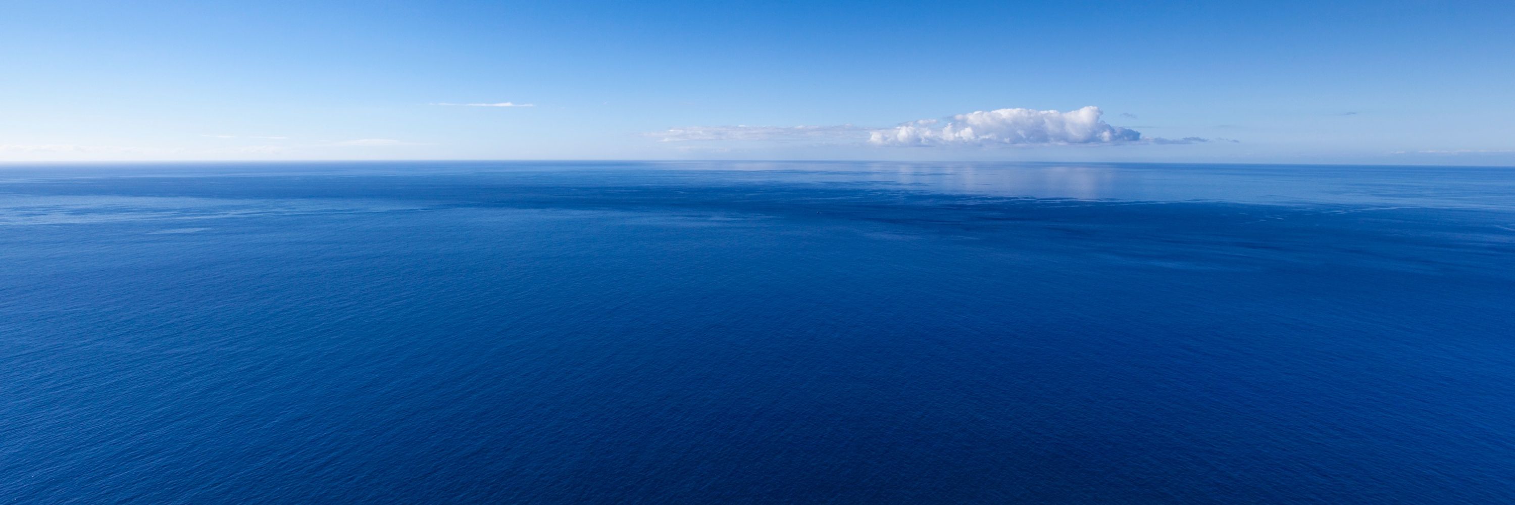 Blue Ocean Strategy