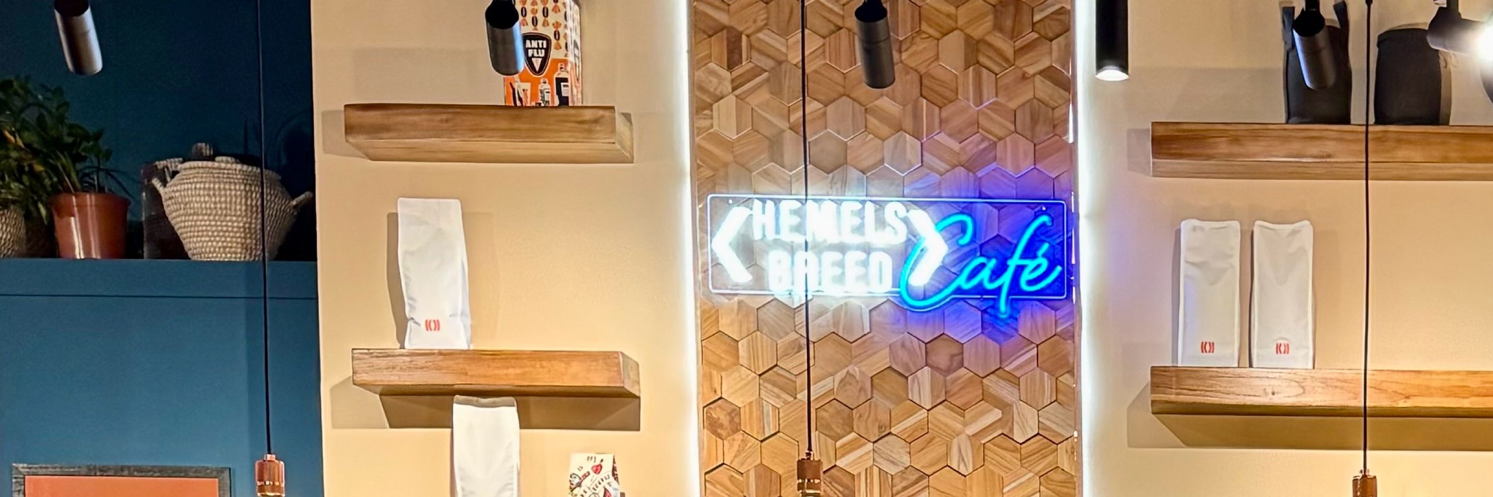 Remmelt Meijer