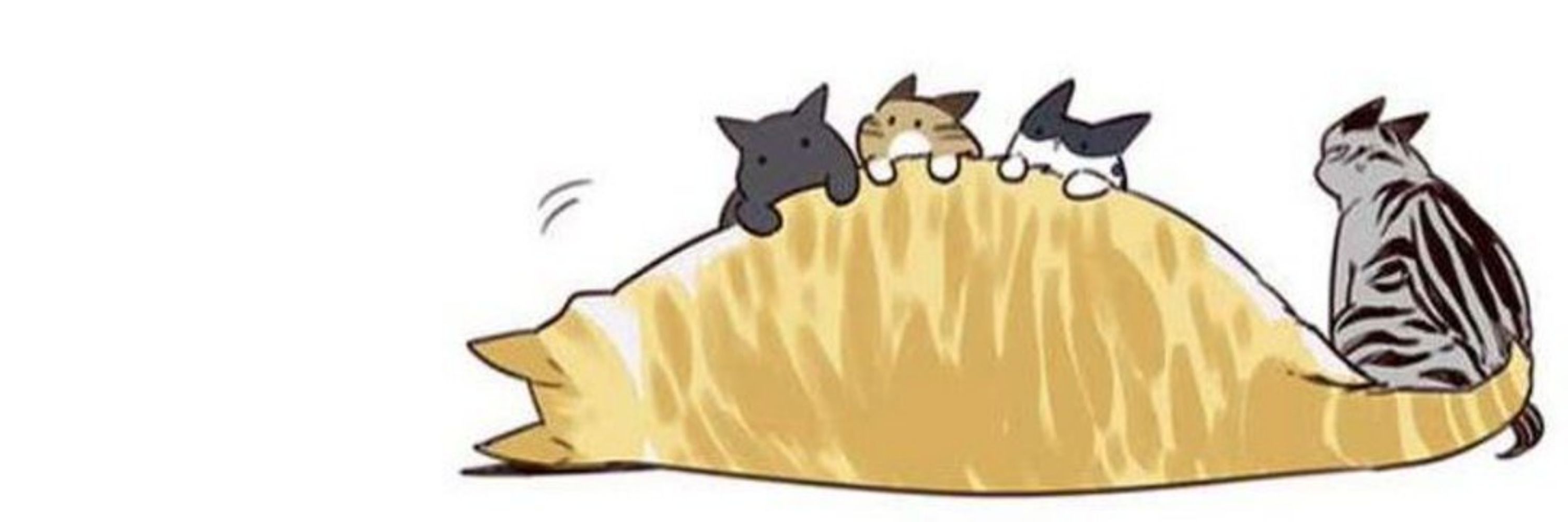 🍏Jiwoo's Black Cat🍏