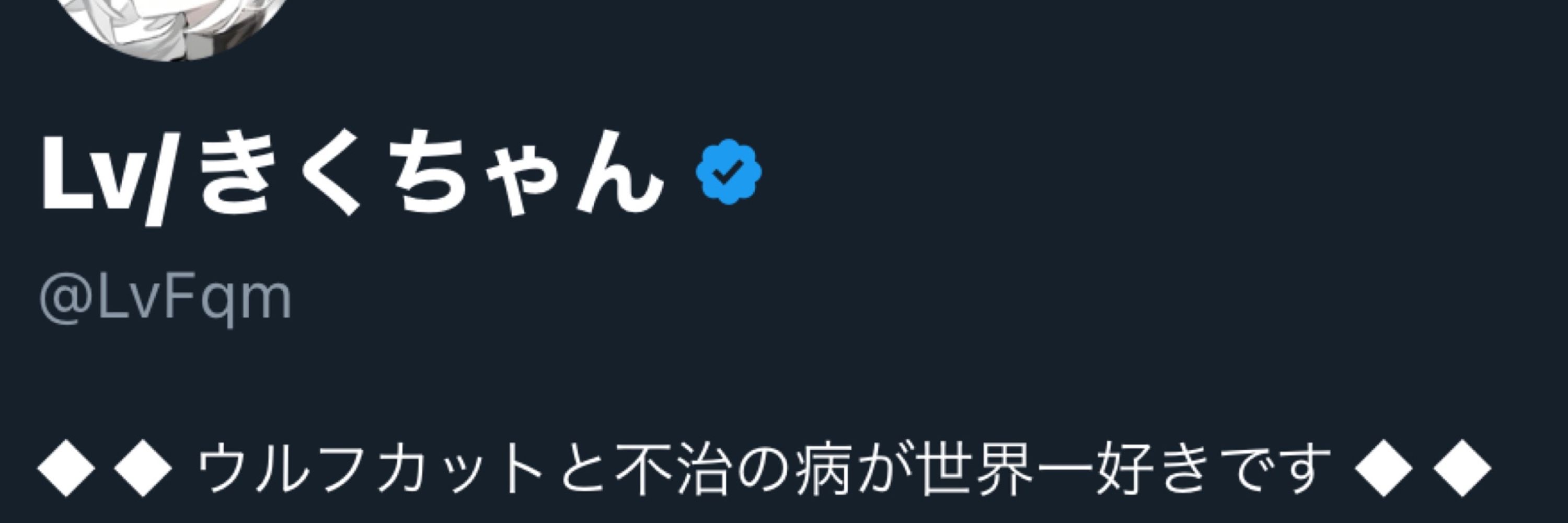 Lv/きくちゃん