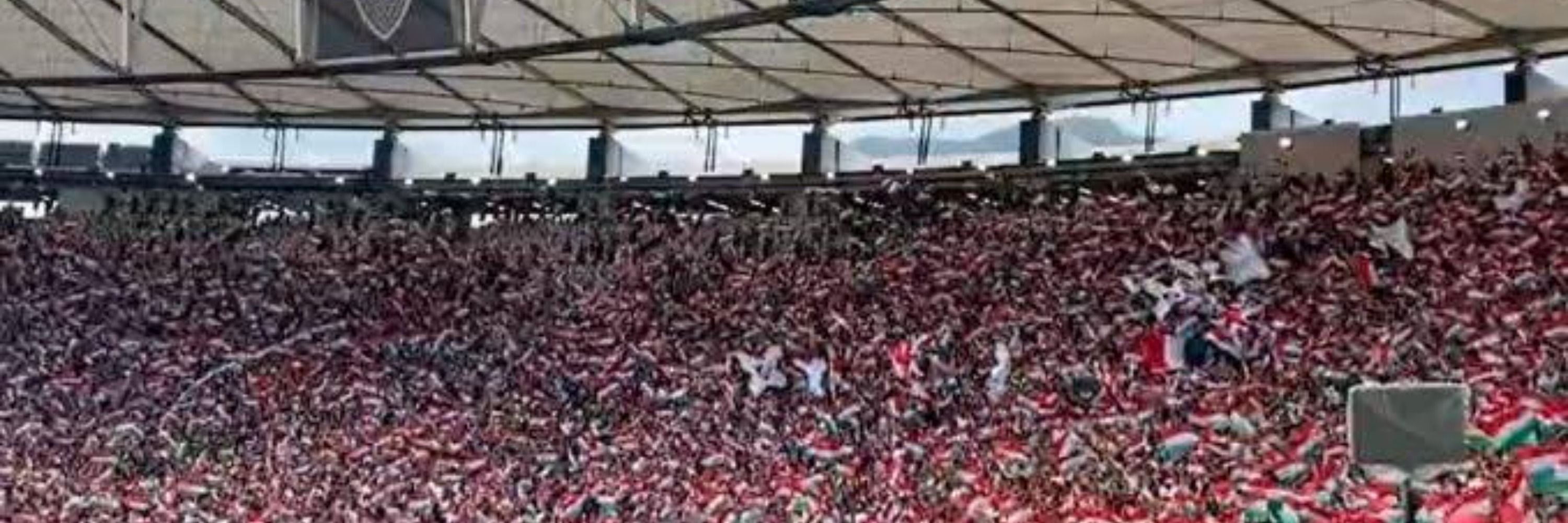 FFC🇭🇺_Diogo C.M_🇭🇺FFC