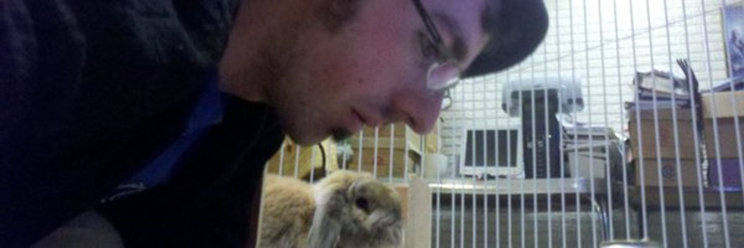 Oddbunny