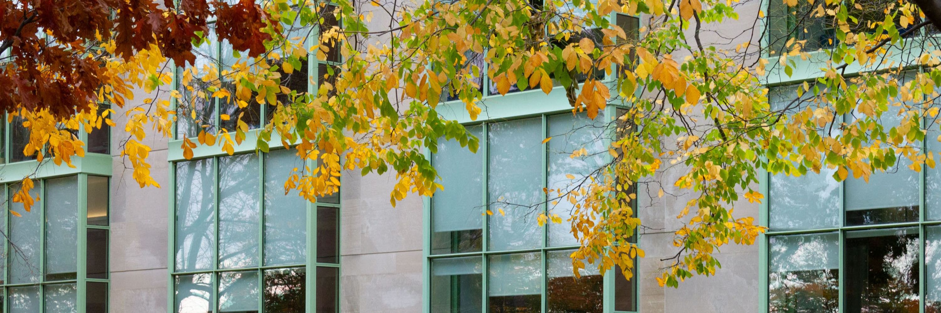 MIT School of Science