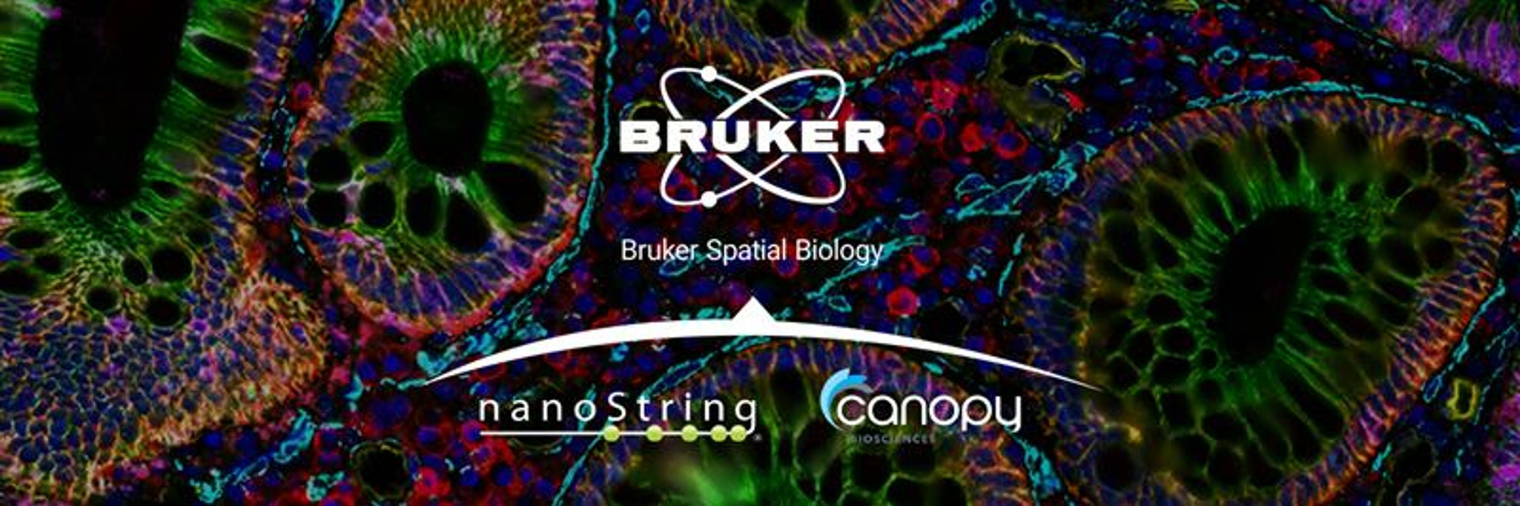 Bruker Spatial Biology