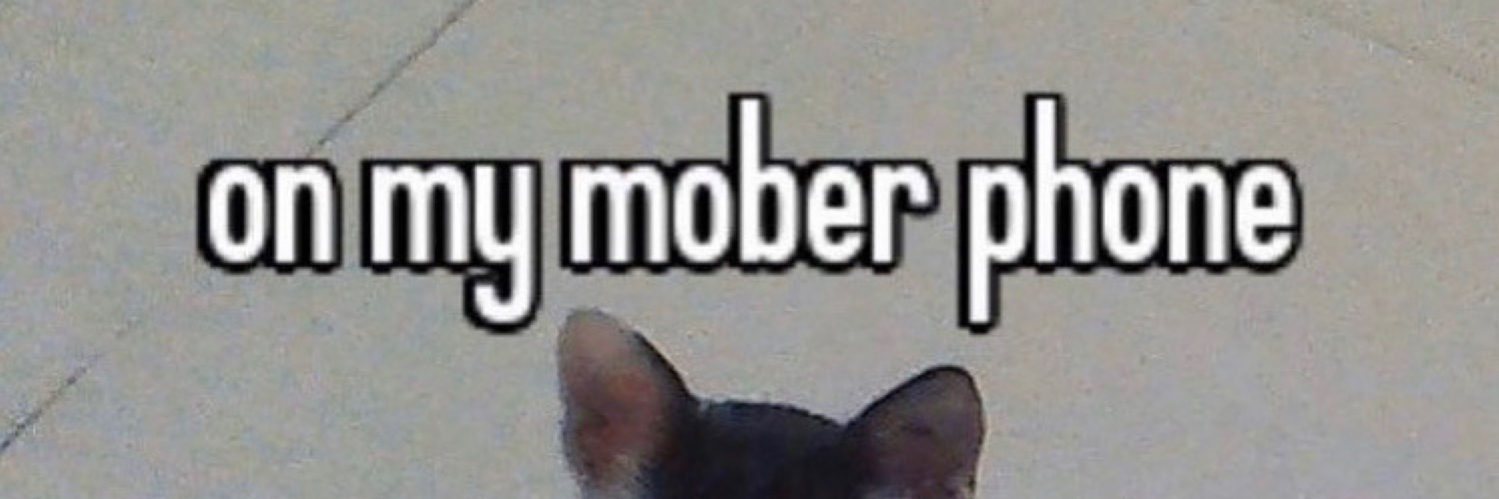 #1 freak enjoyer