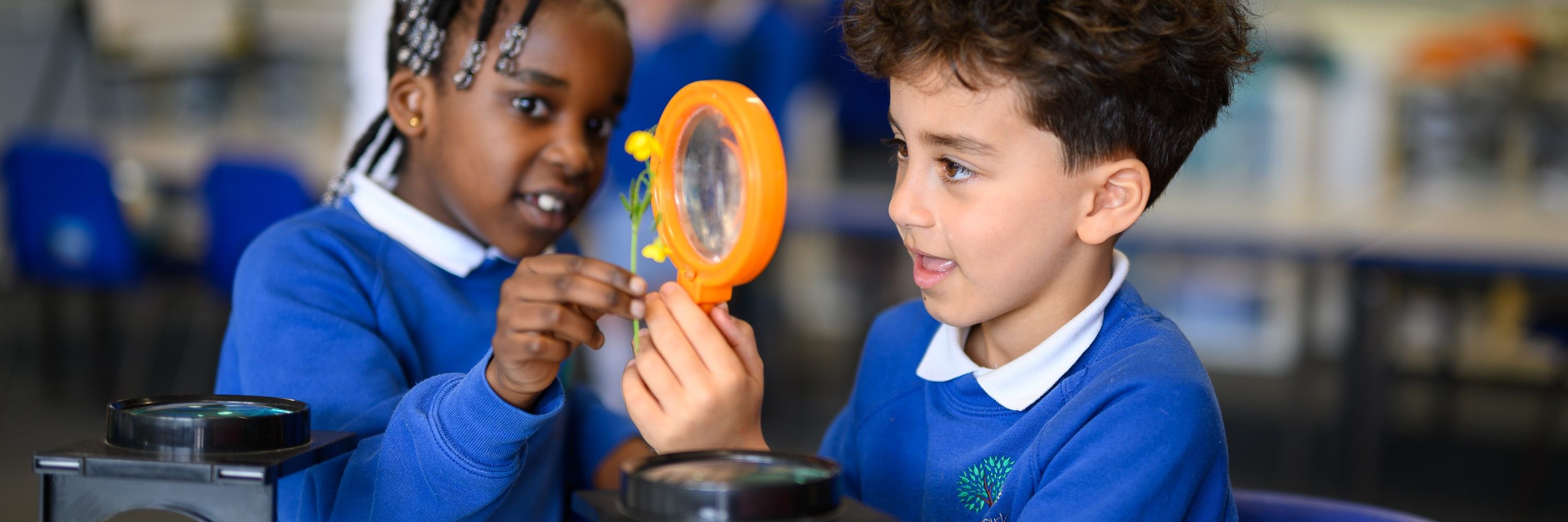 The Compass Partnership of Schools
