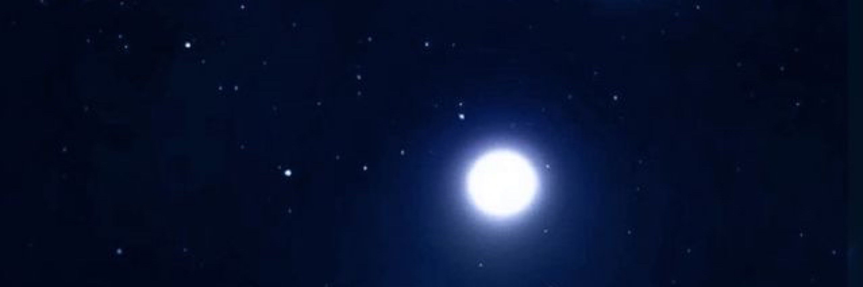 Nyx Midnight