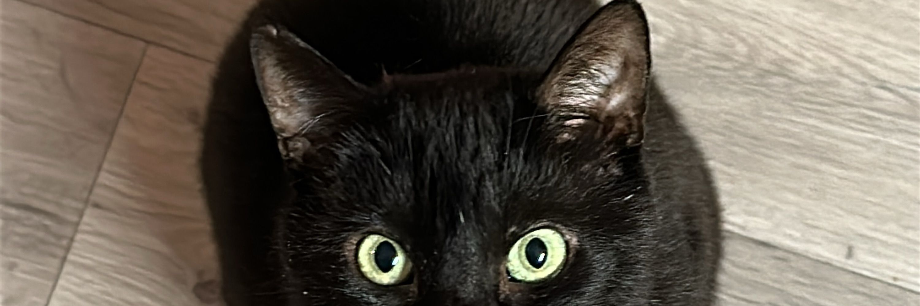 Niko