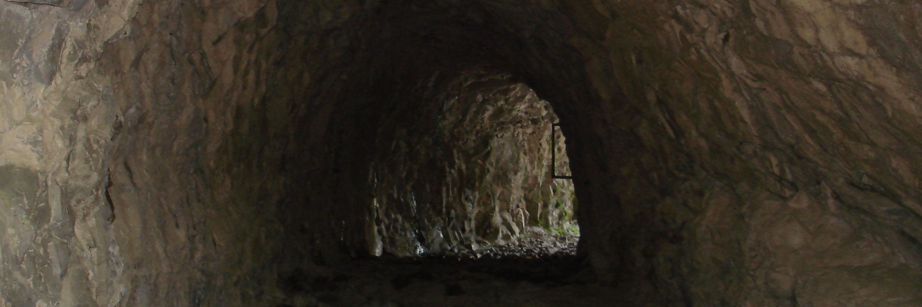 umanea