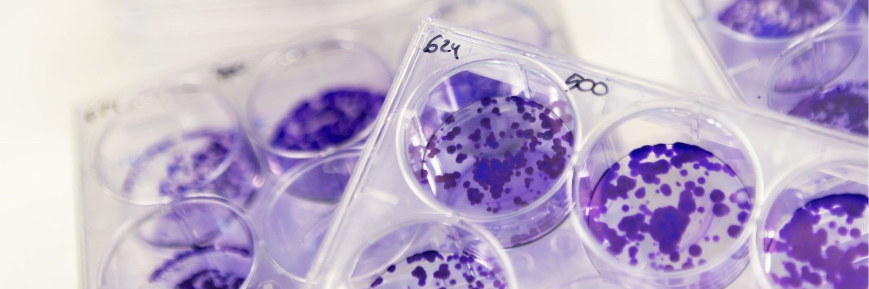  Vall d’Hebron Institute of Oncology