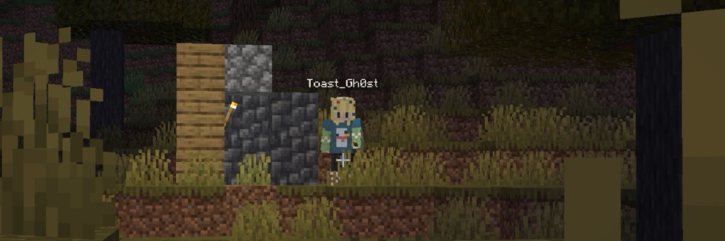 ToastGh0st