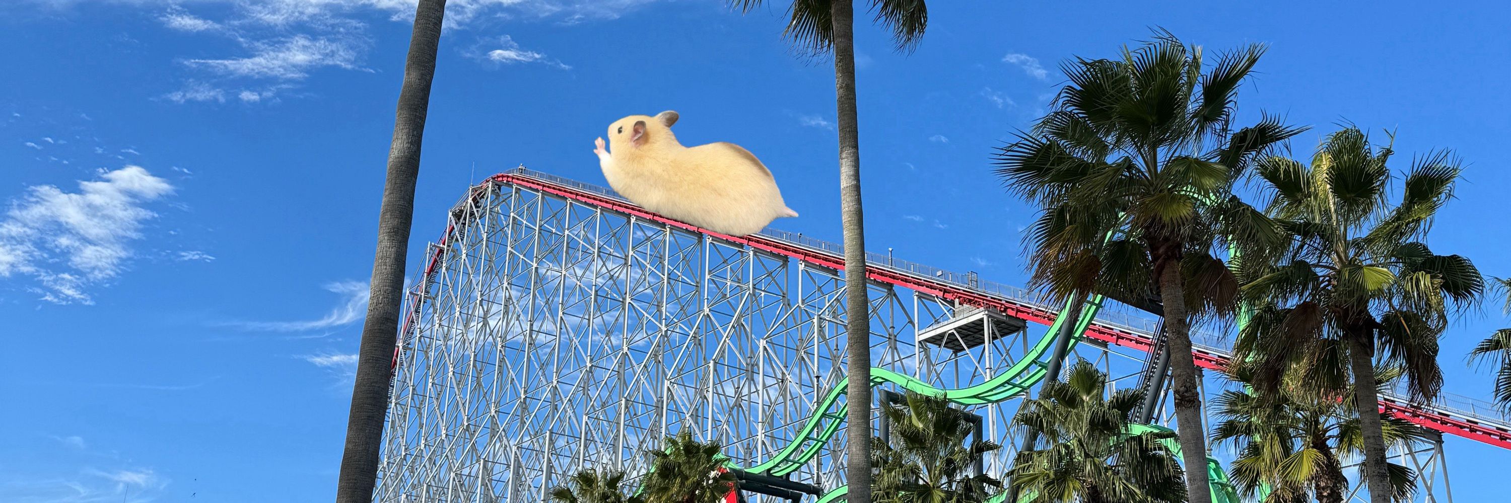 Airu
