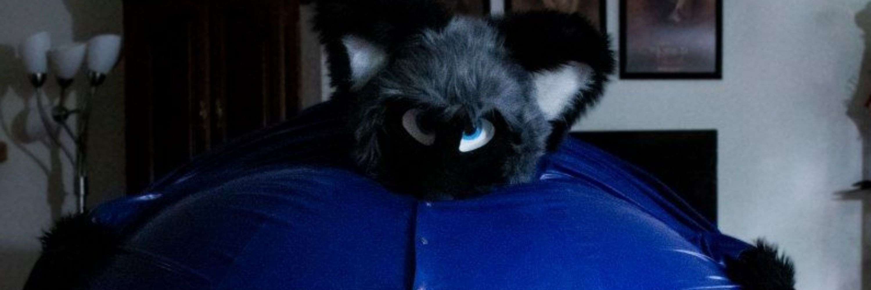 Xandiel Fox