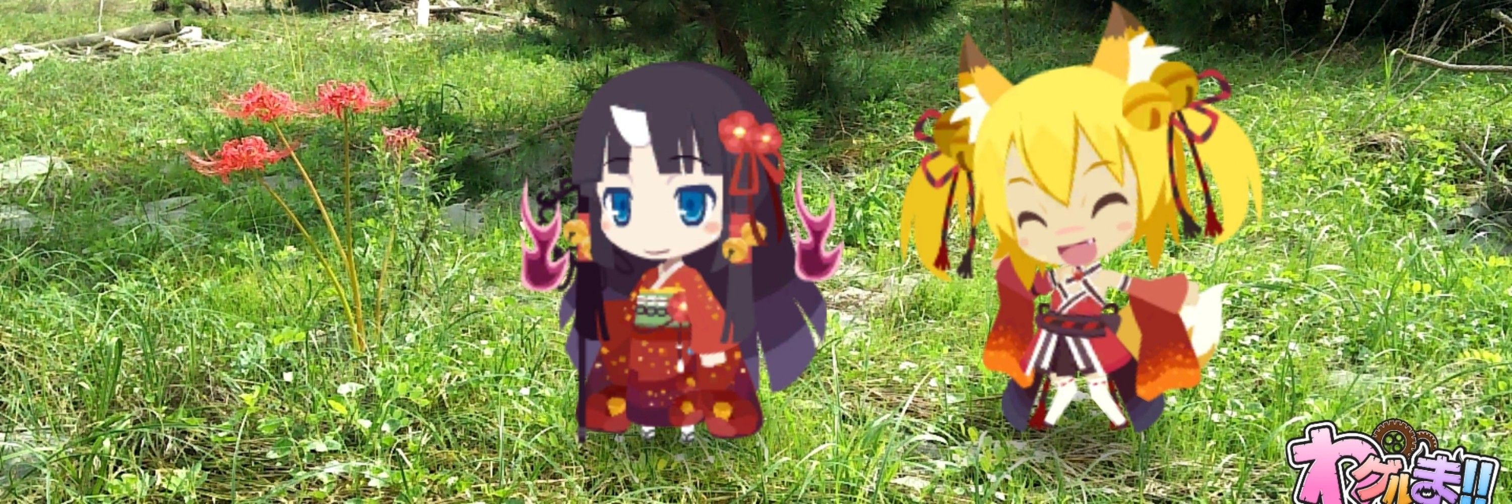 狐坂シャマル