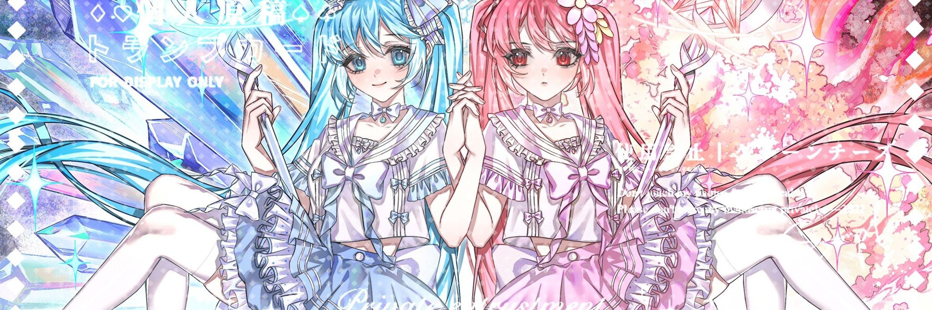 WeissIris 白向鸢