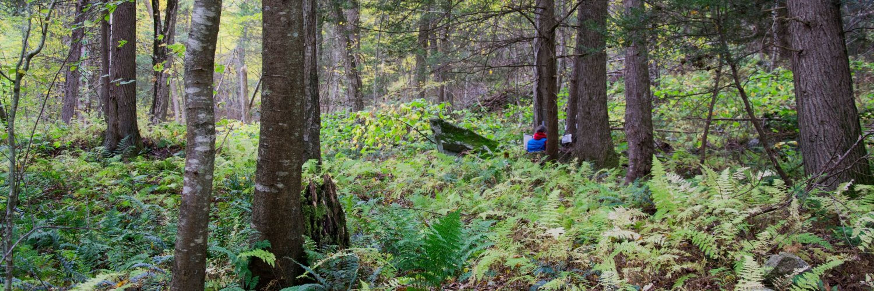 Cary Institute of Ecosystem Studies