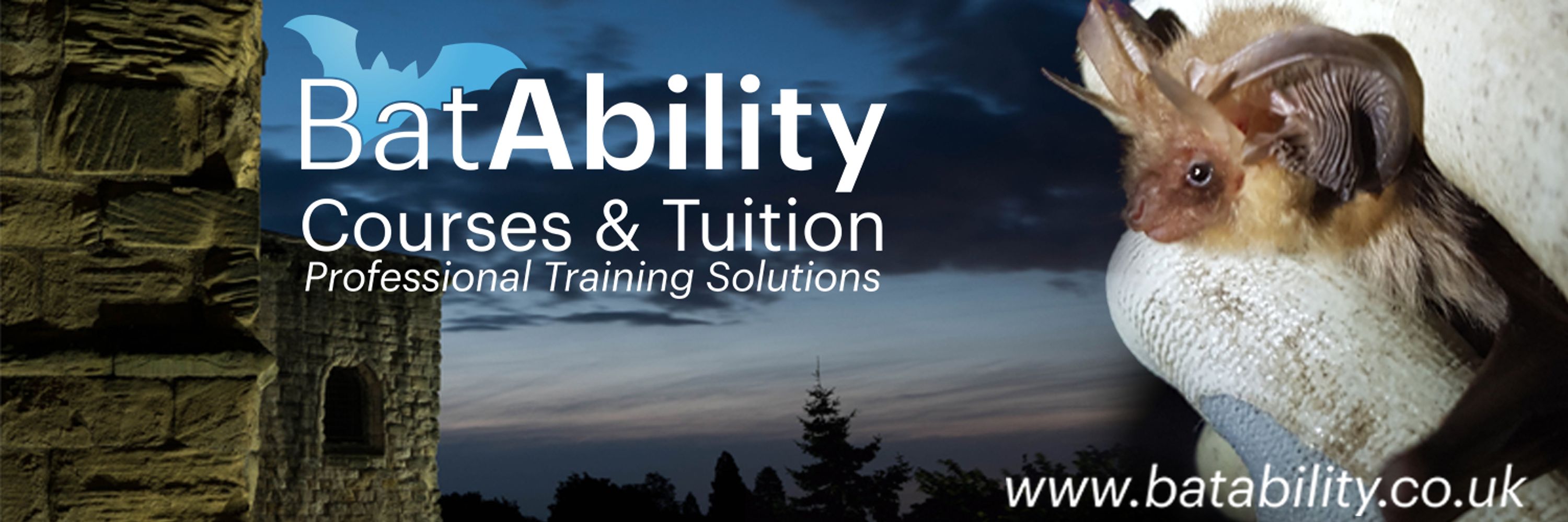 BatAbility Courses & Tuition