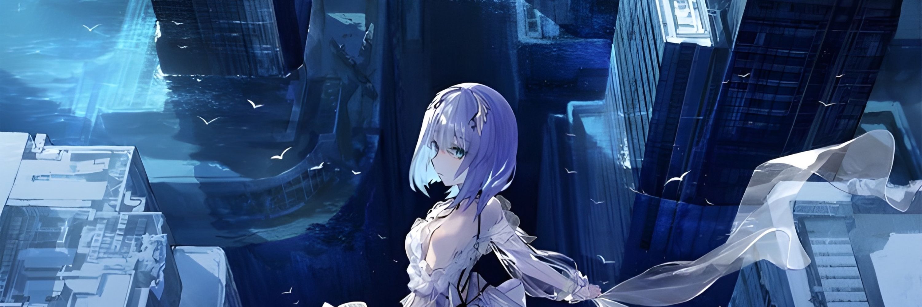 葵