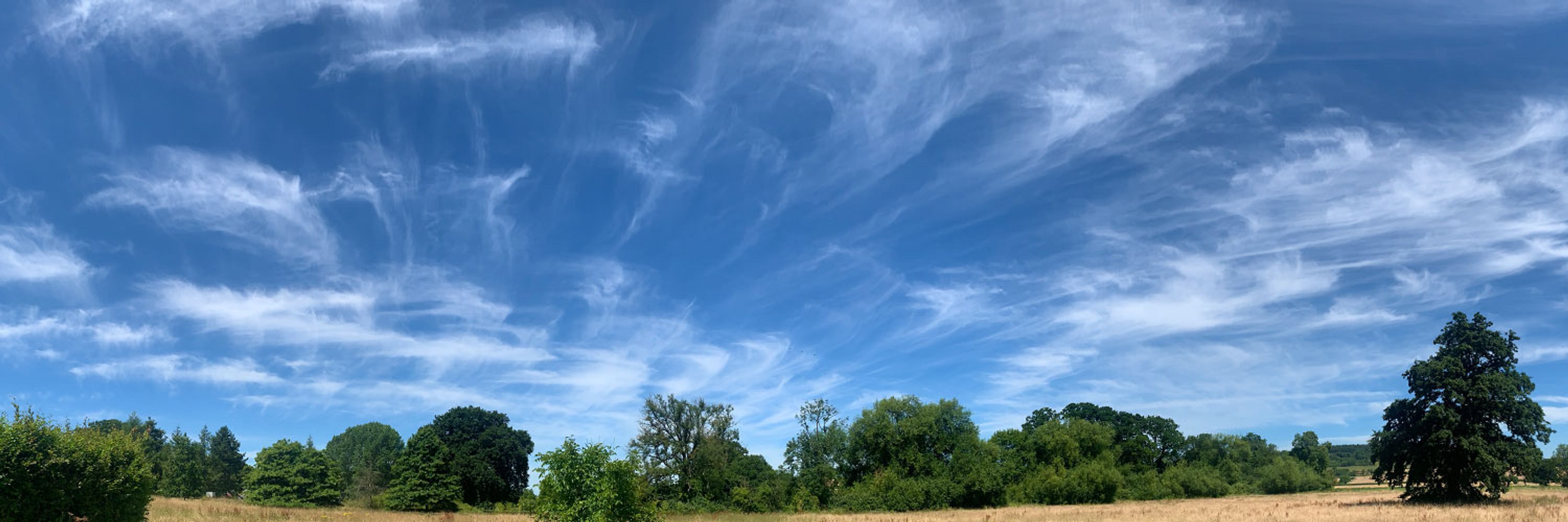 Cloud Appreciation Society