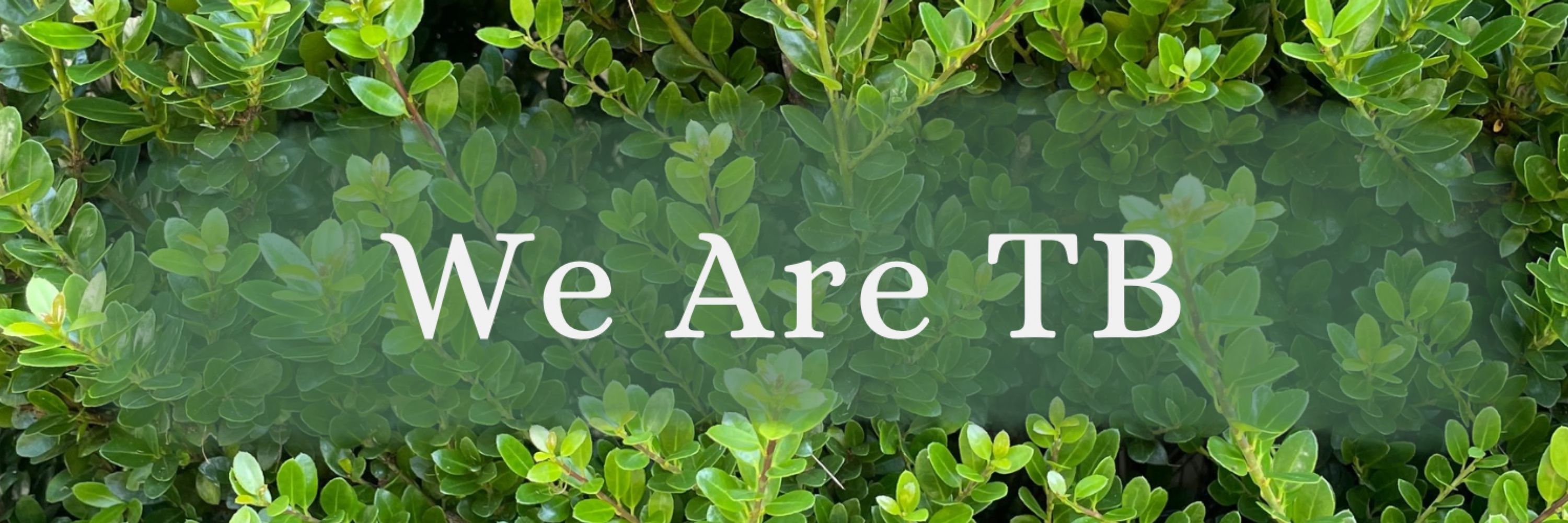 We Are TB