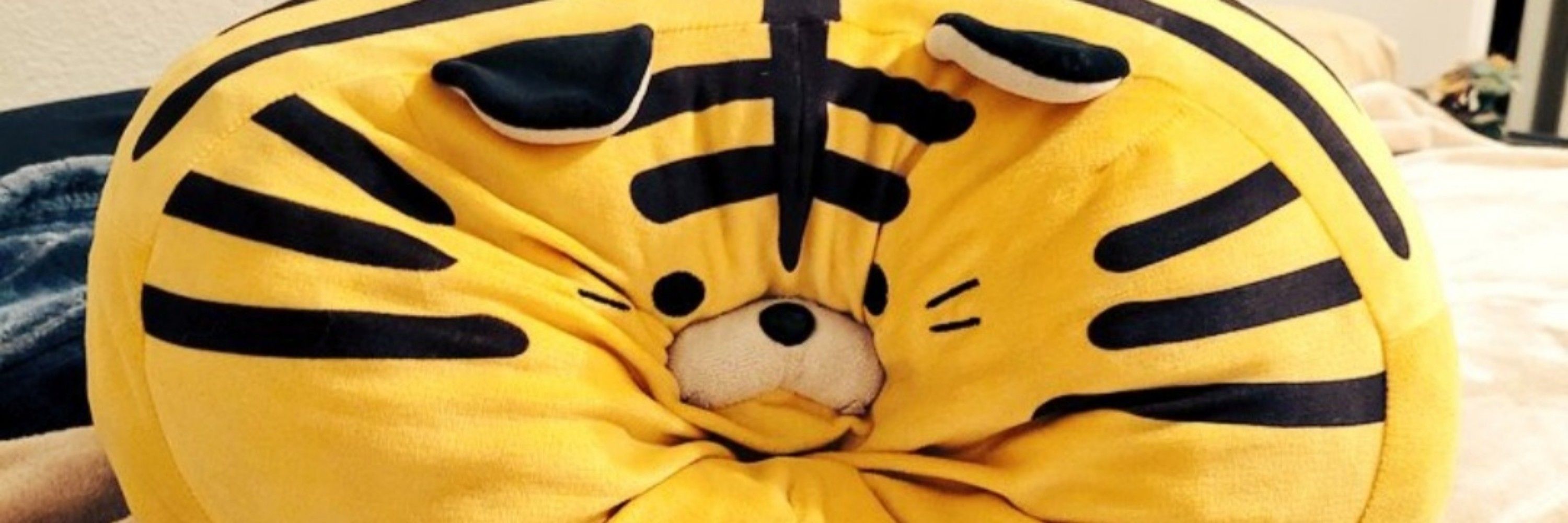 Lil'Tiger @ FANIME