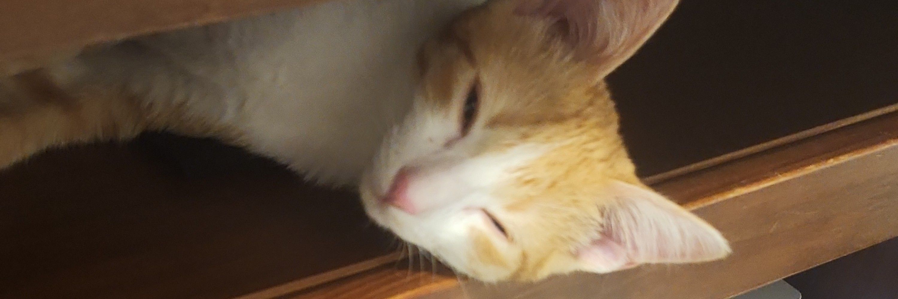 Dirk