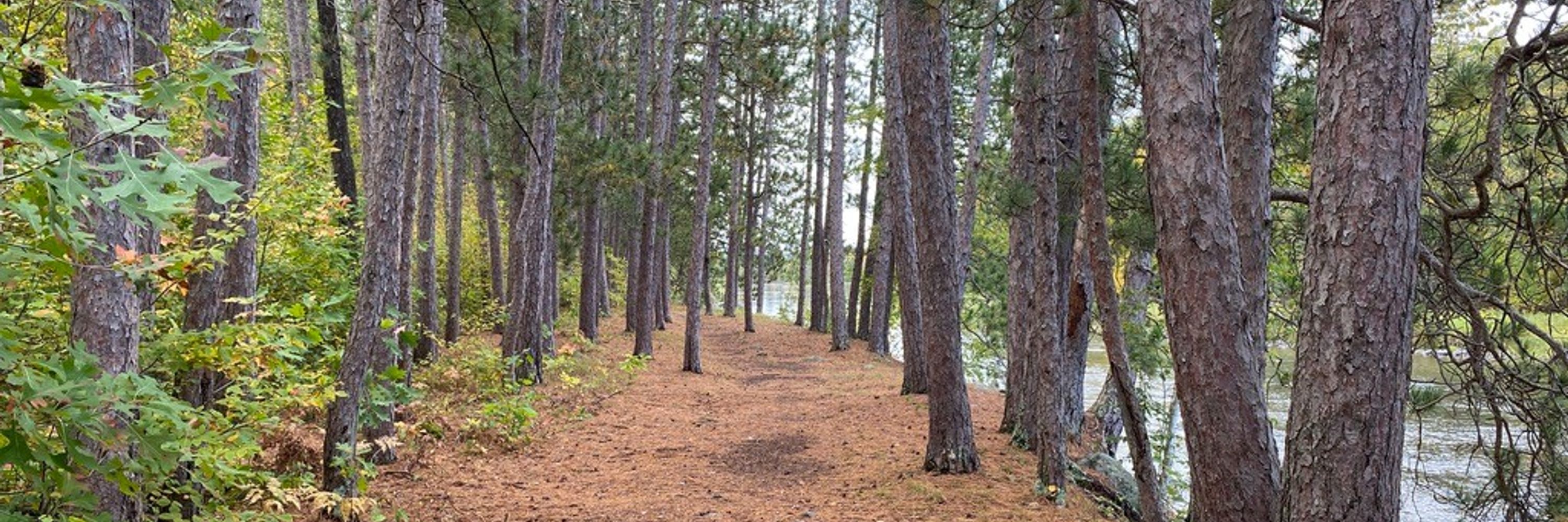 Fire Tower Trail Races