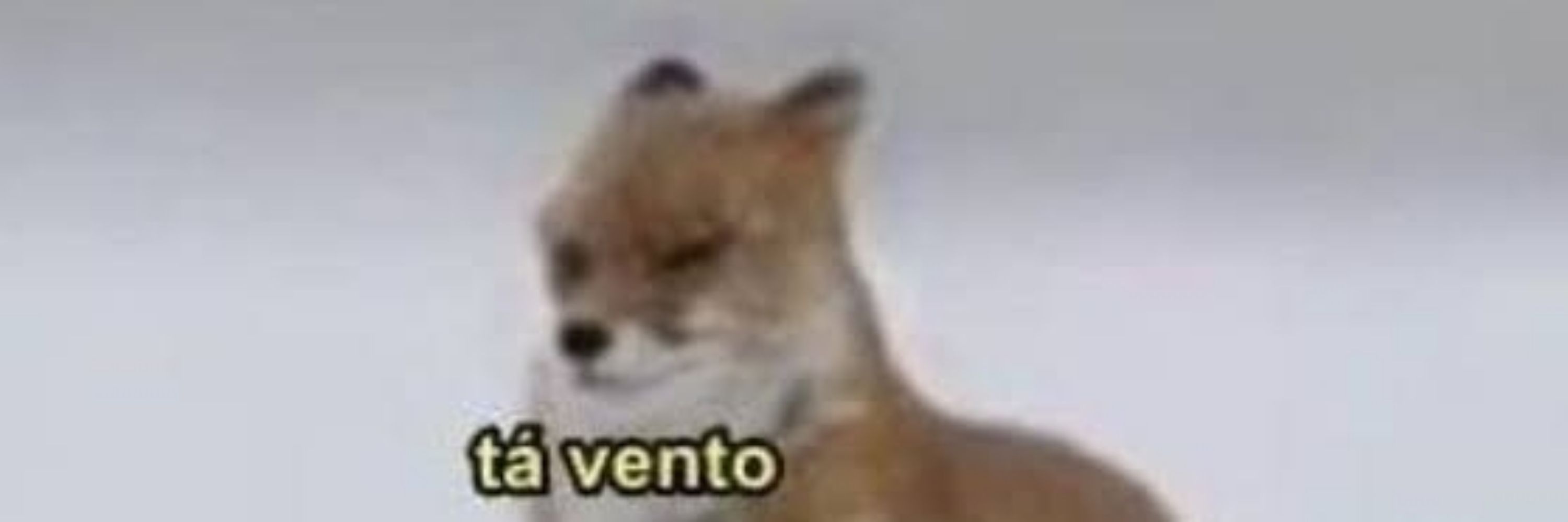 Viúvo do tuiter 