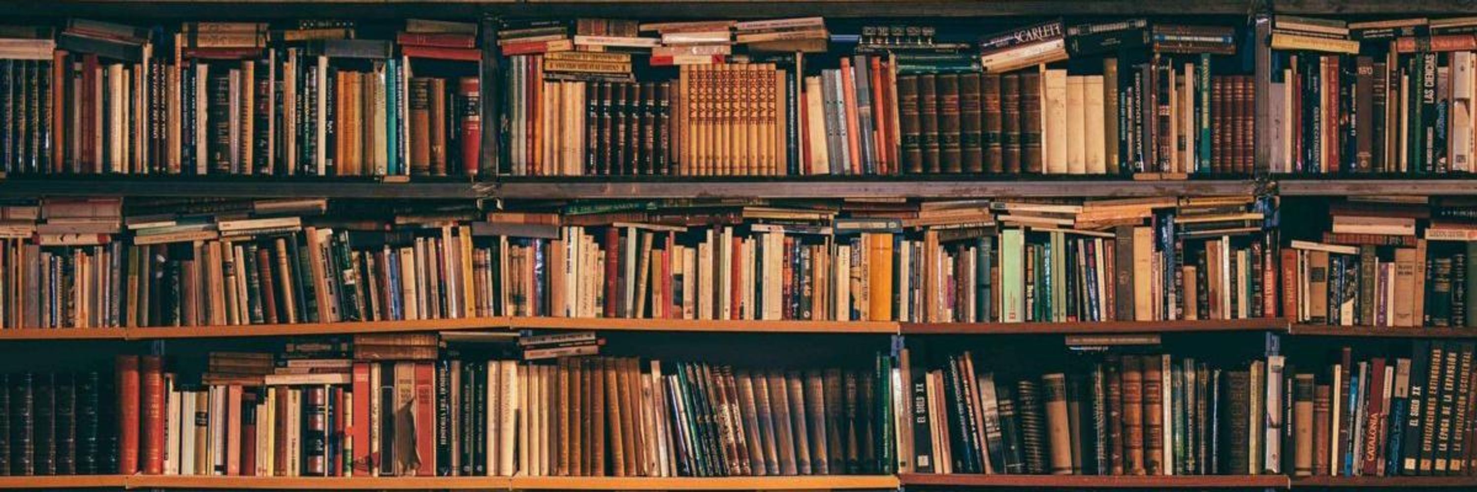 Bookshelfie