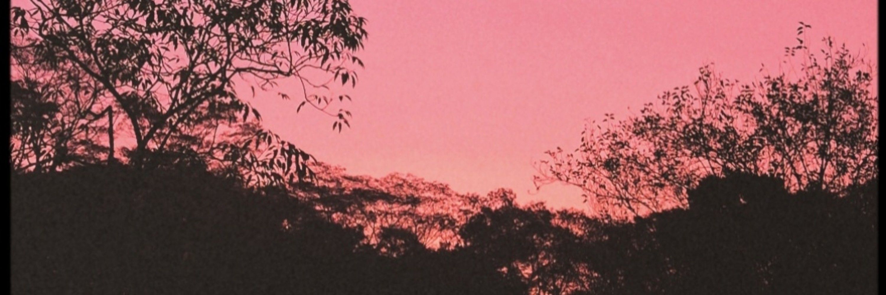 C A U