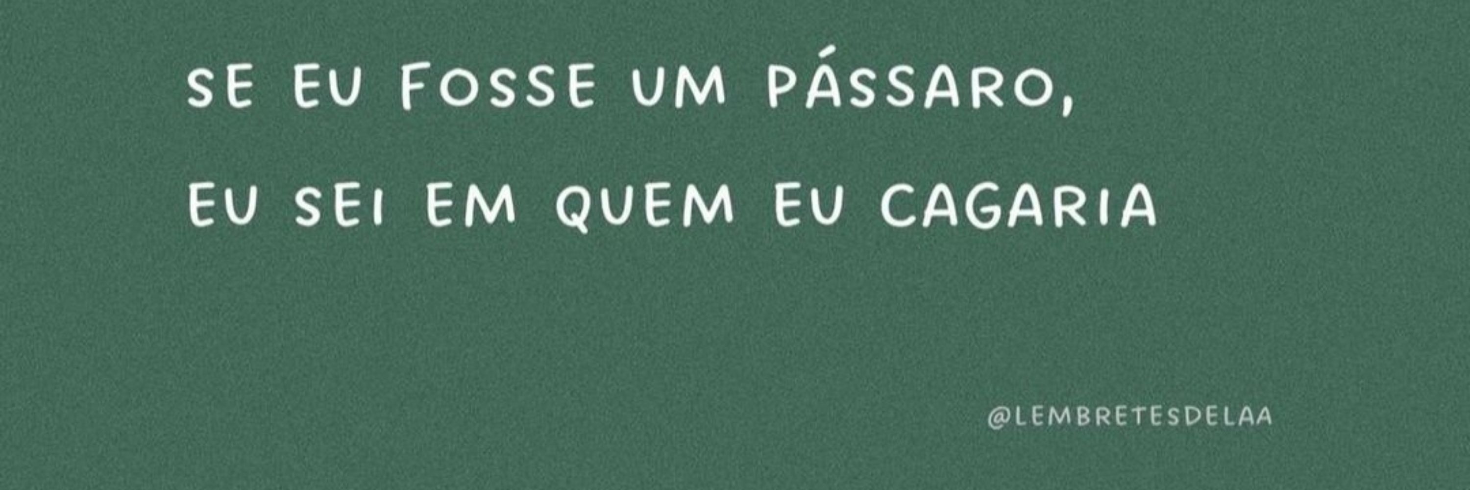 Stefane Oliveira 🌈