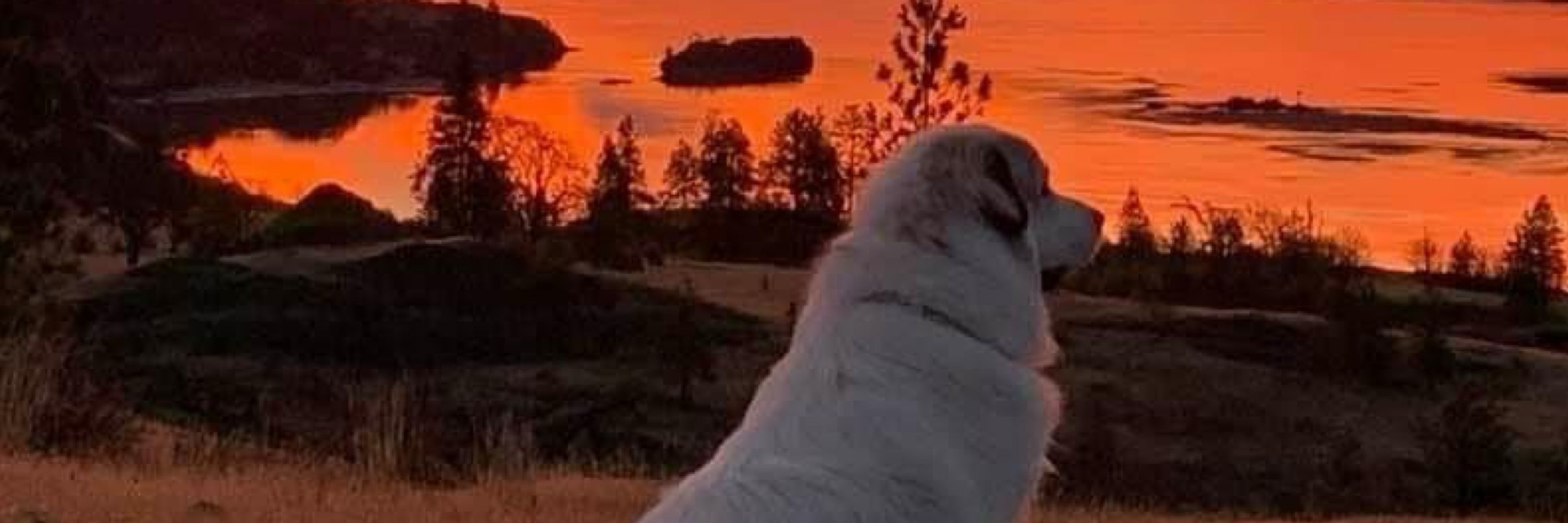 Alan Jeude