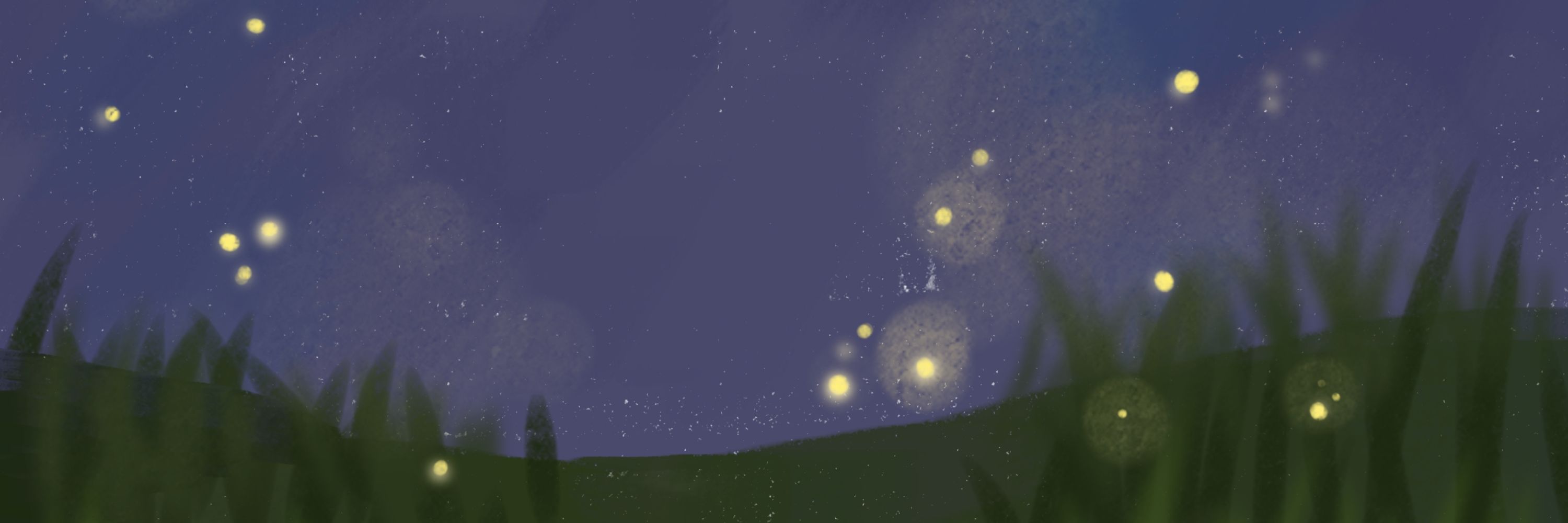   아라💫