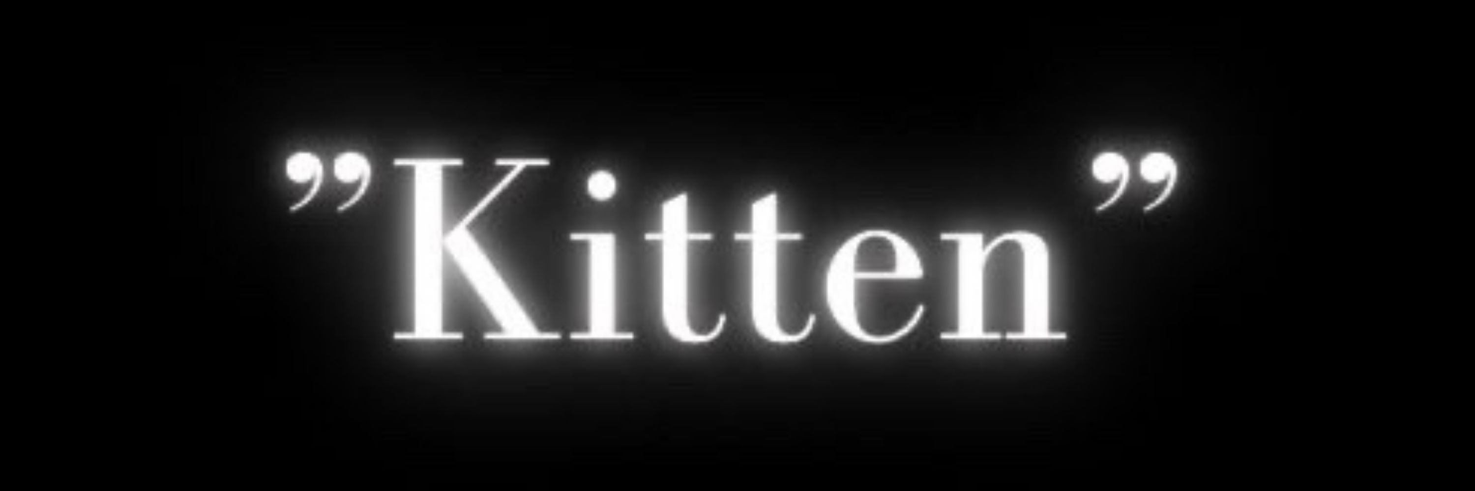 Kitten