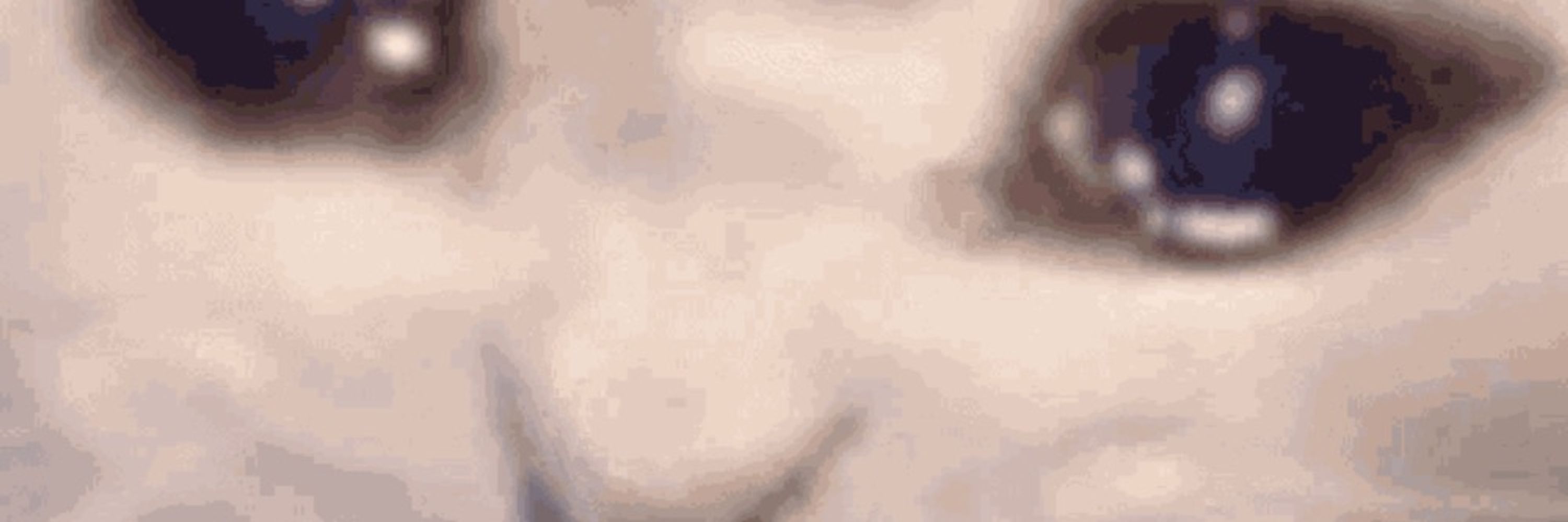 kotacryptid