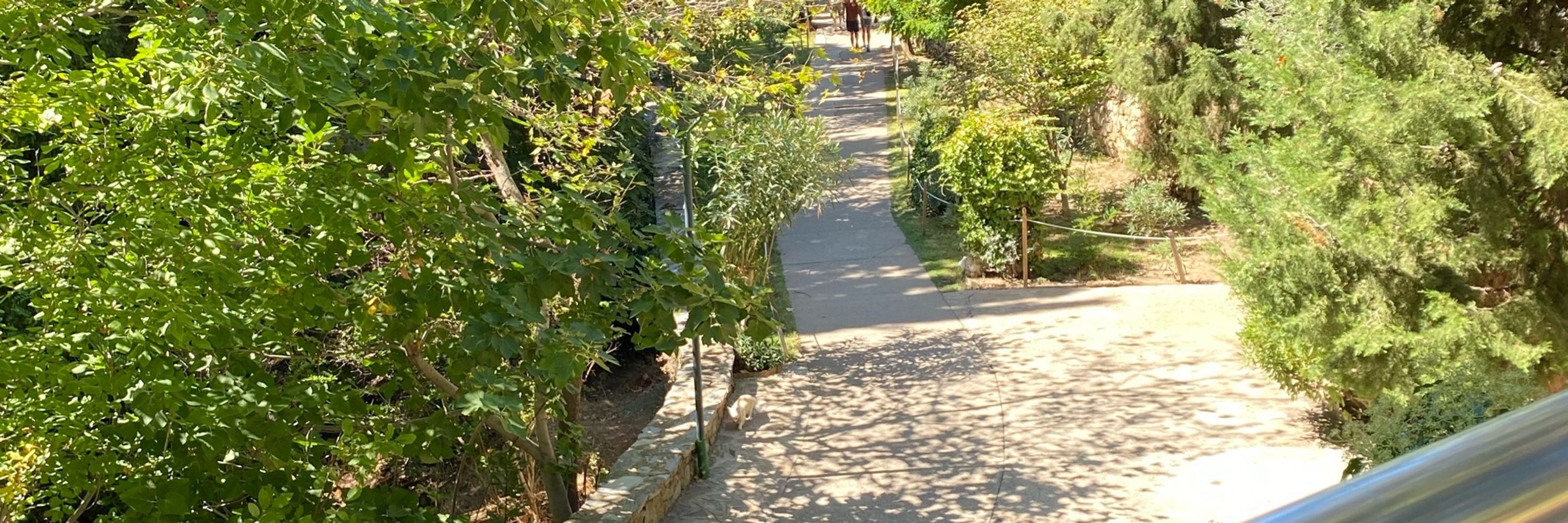 Tabicanım
