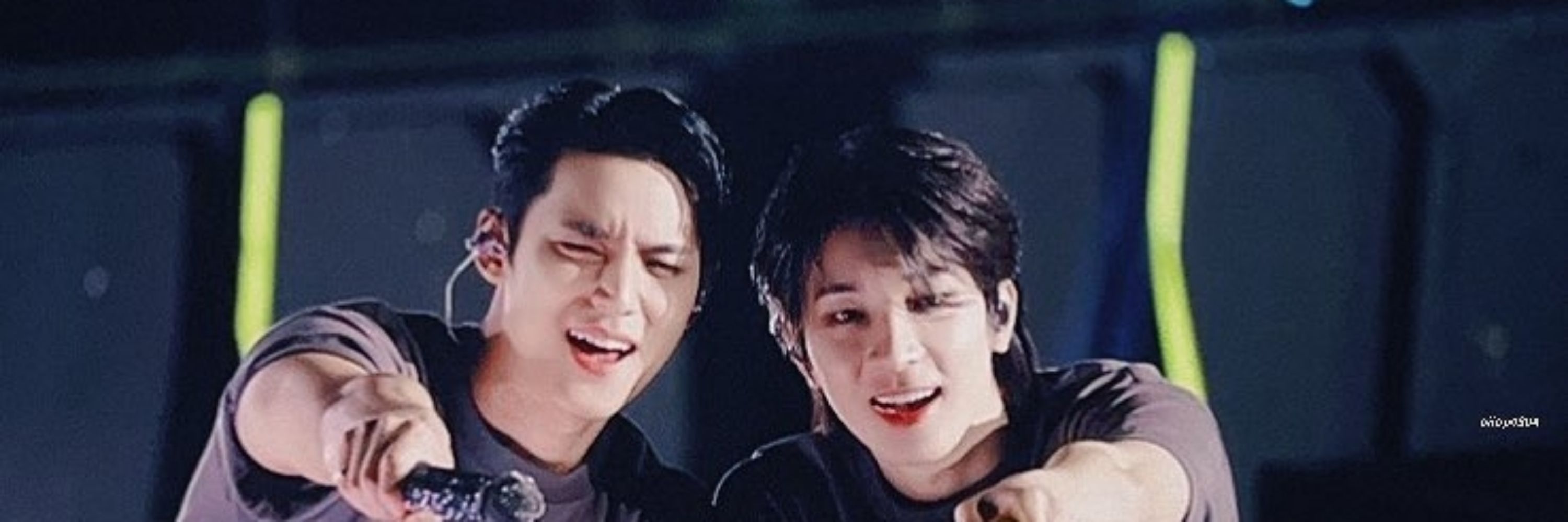 Anak minwon