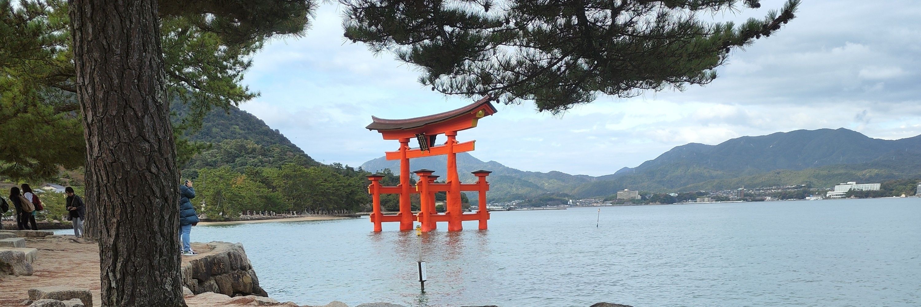 ステンド
