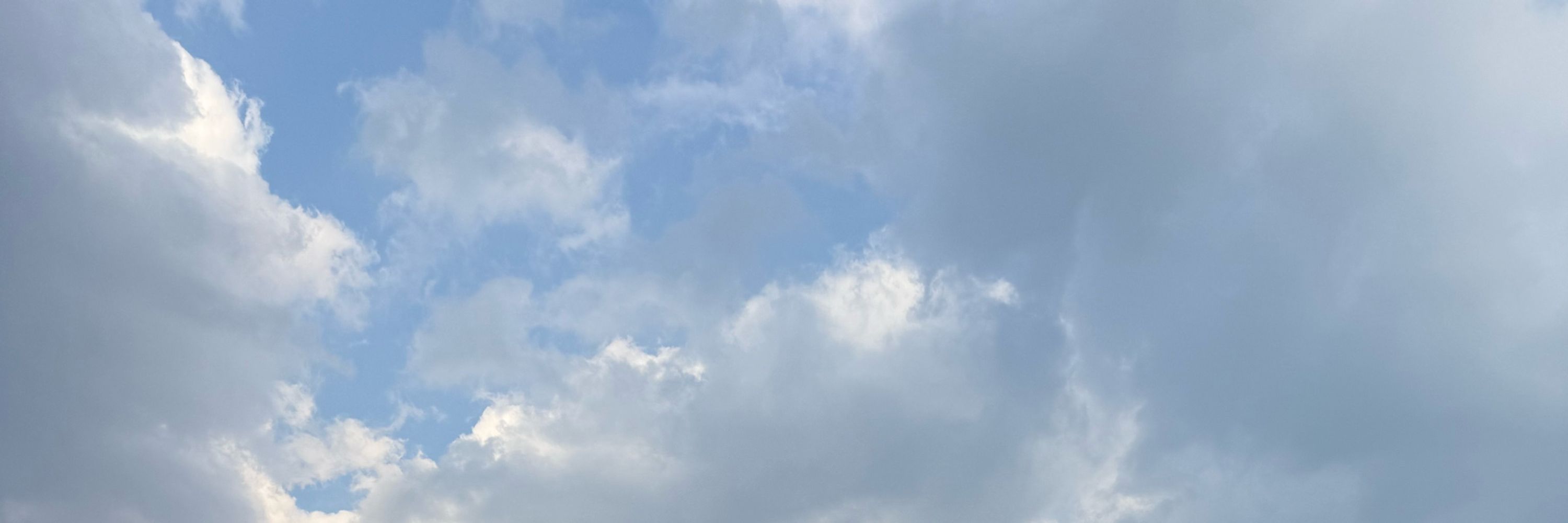 永瀬_IP23🎗️