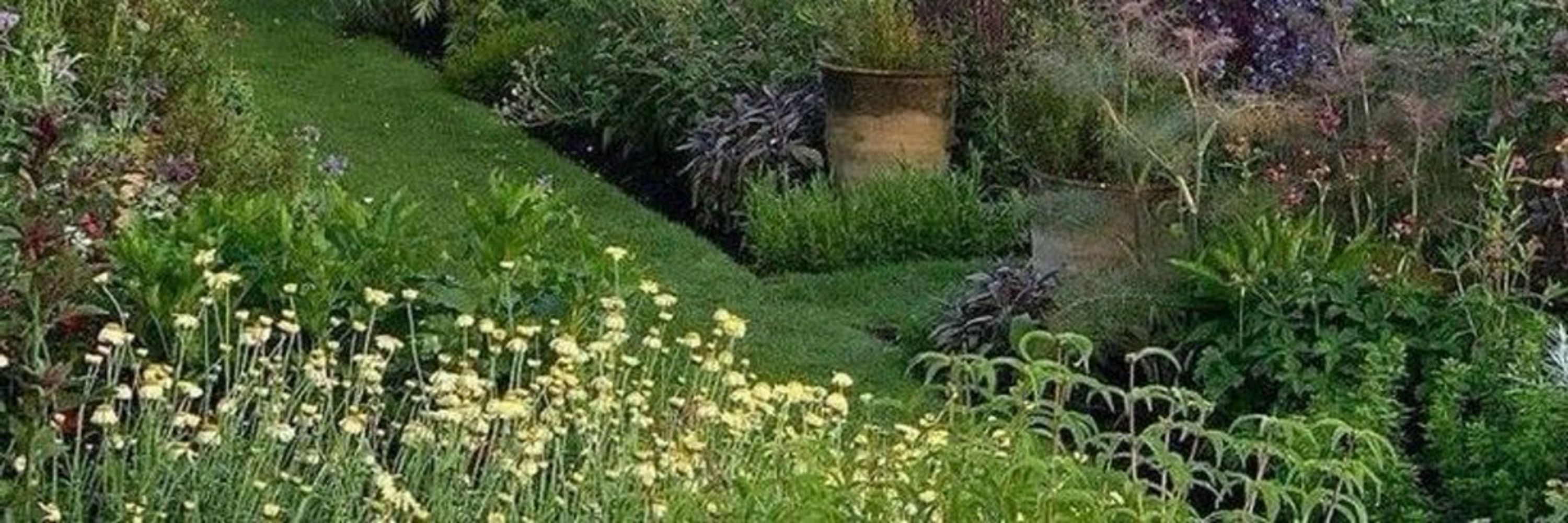 iris