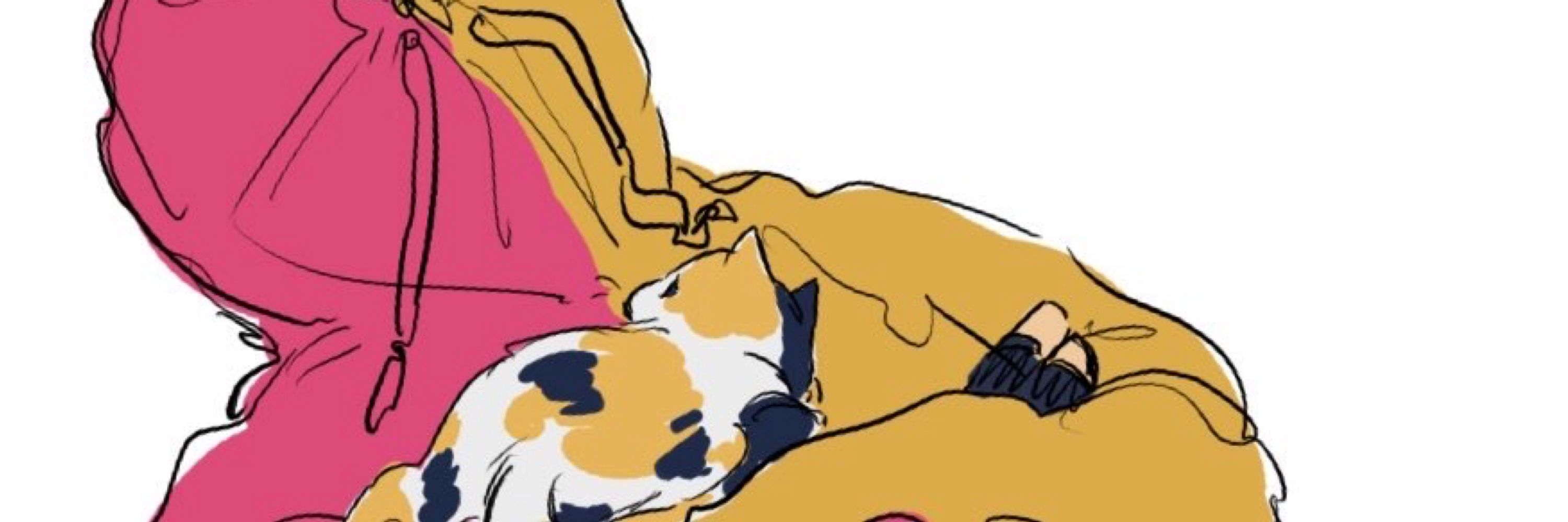 猫 (｡･ω･｡)