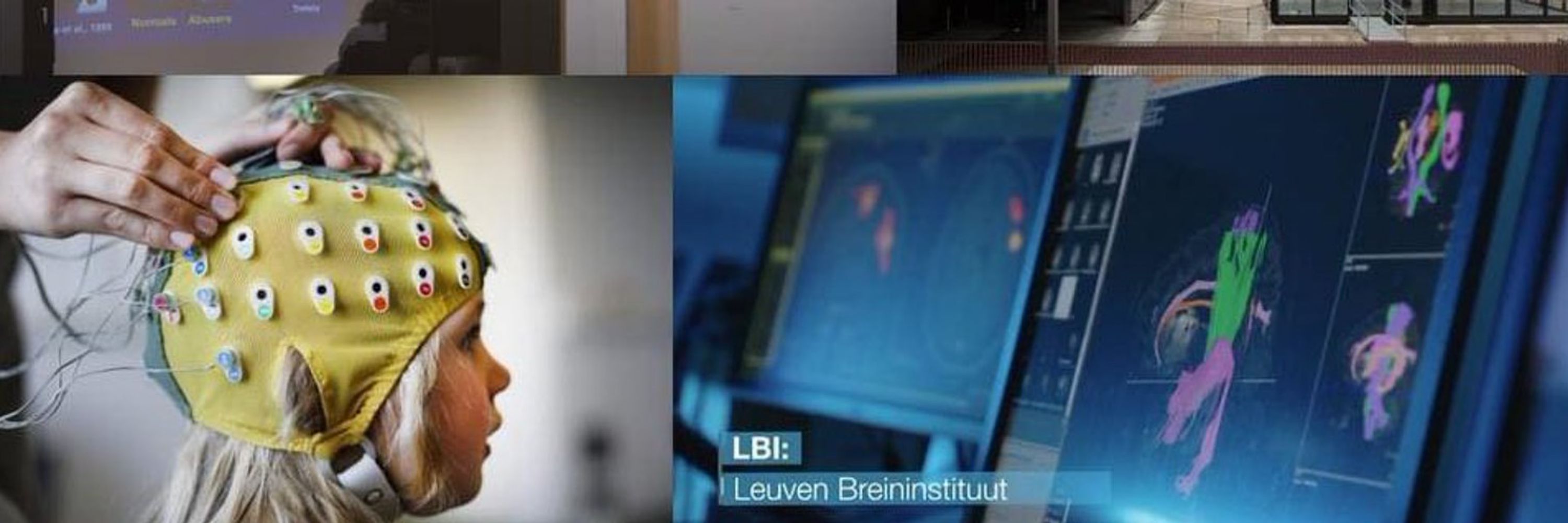 Leuven Brain Institute