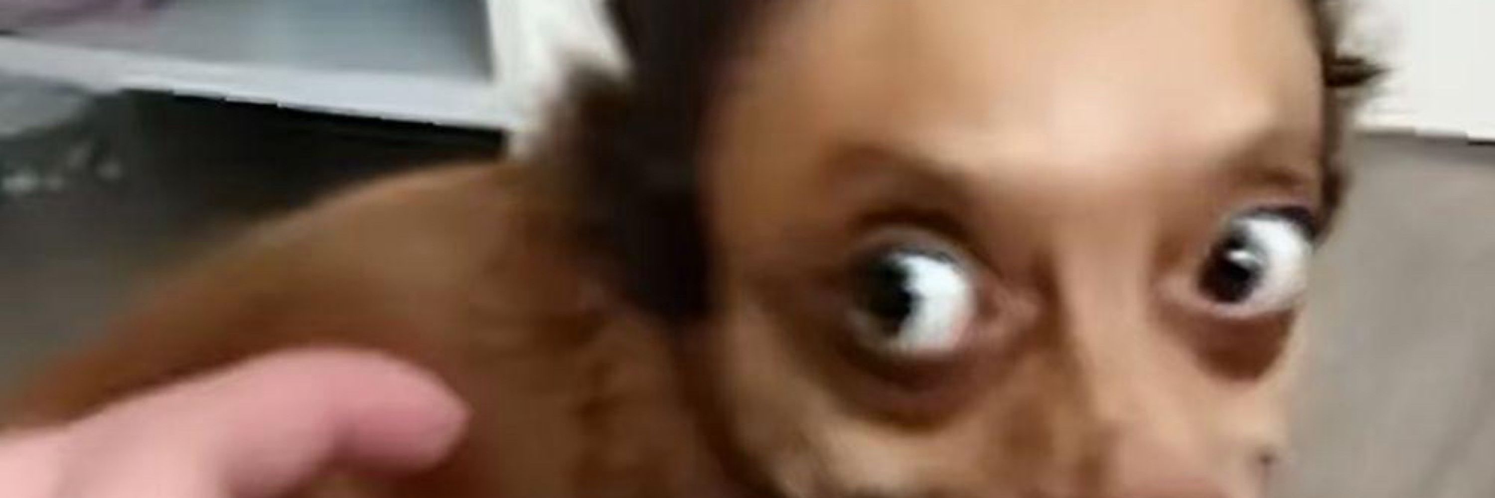 Zapzap