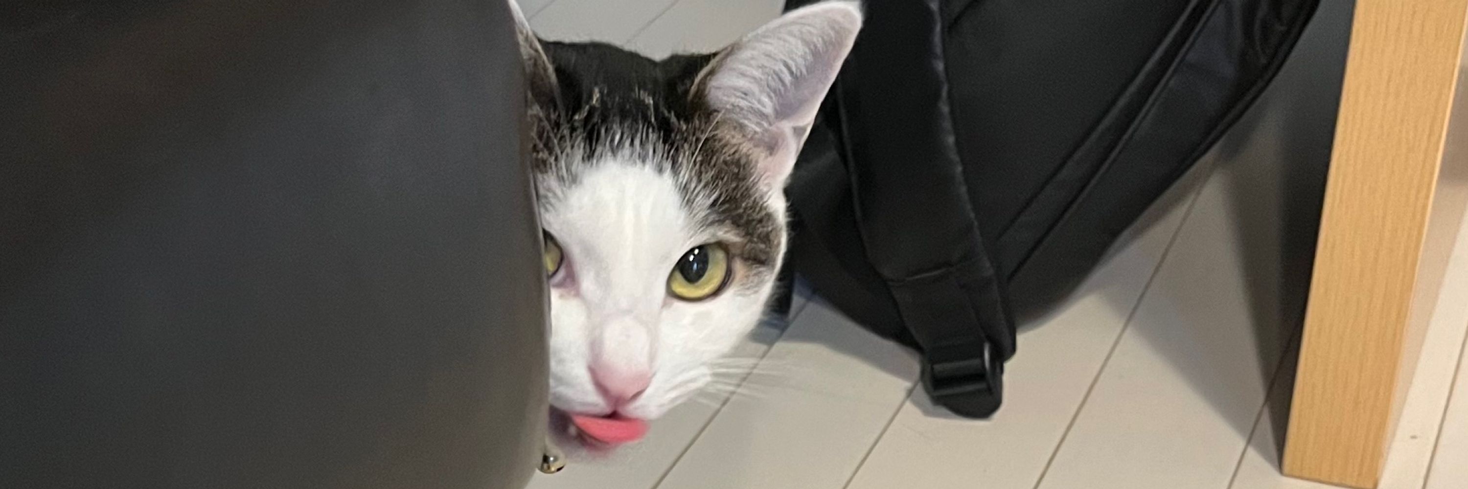 一色