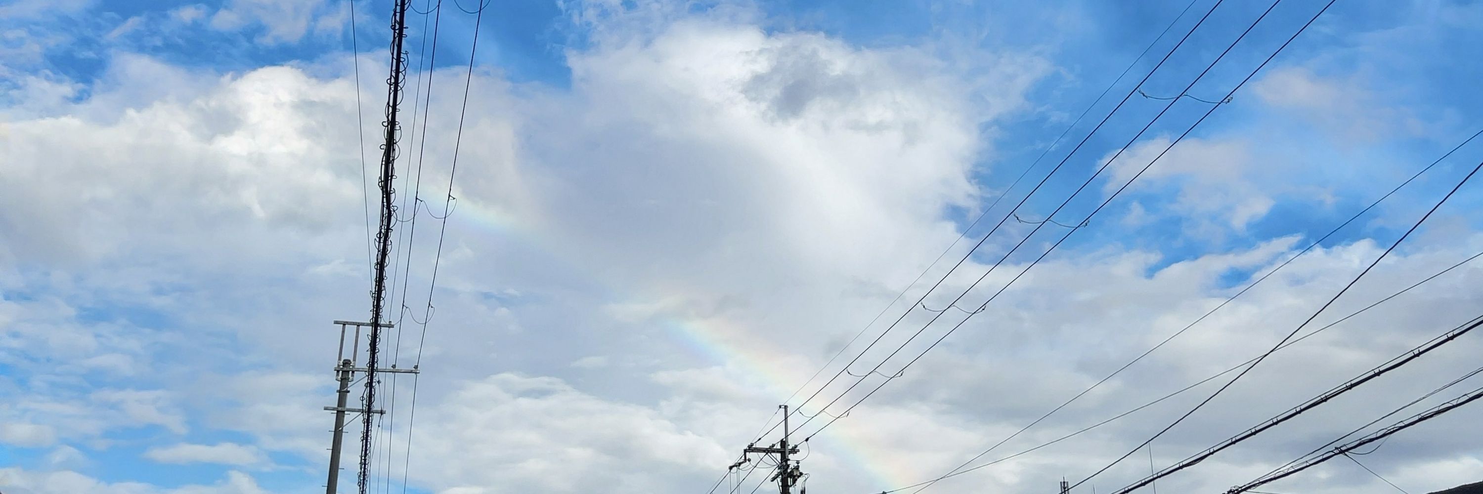 さこ