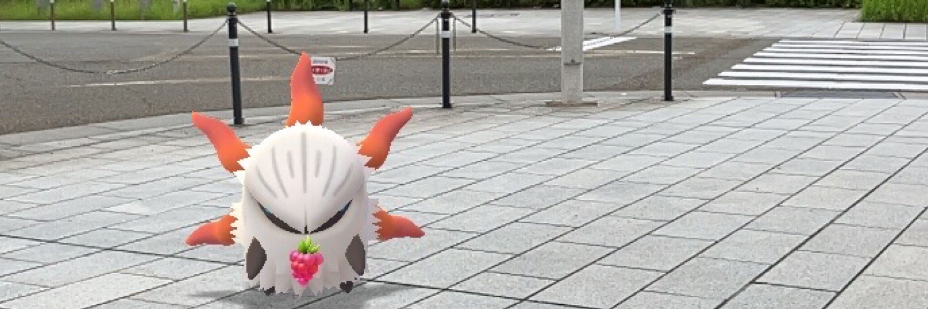 豆オム