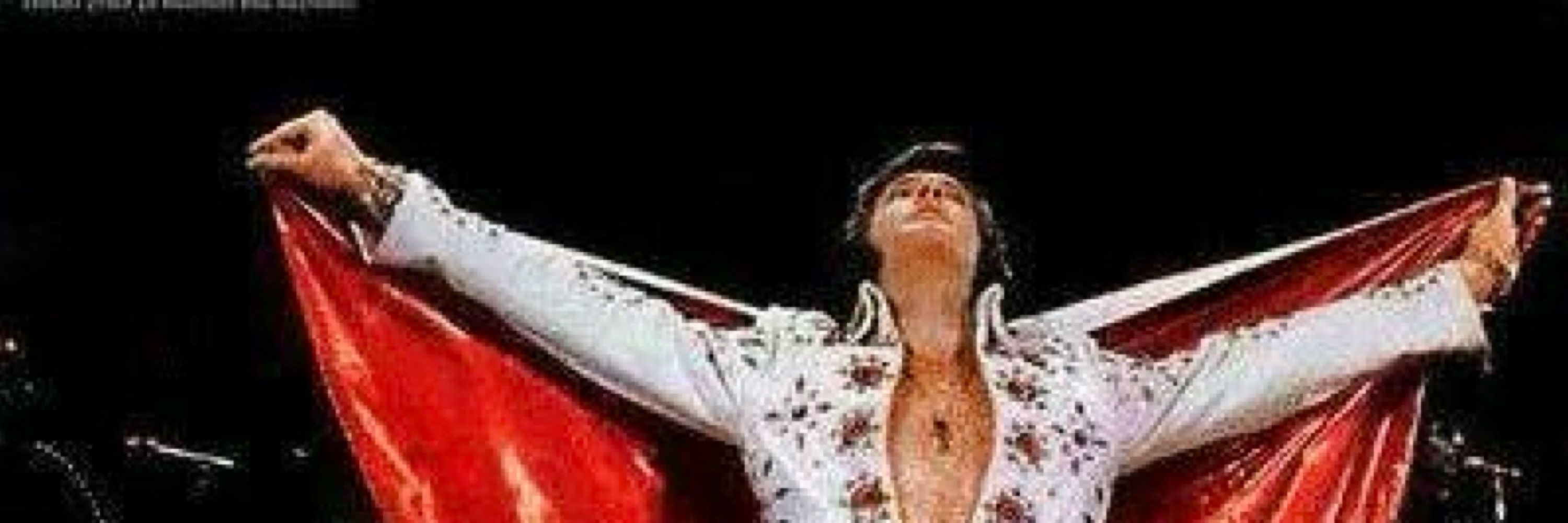 Fat Vegas Elvis