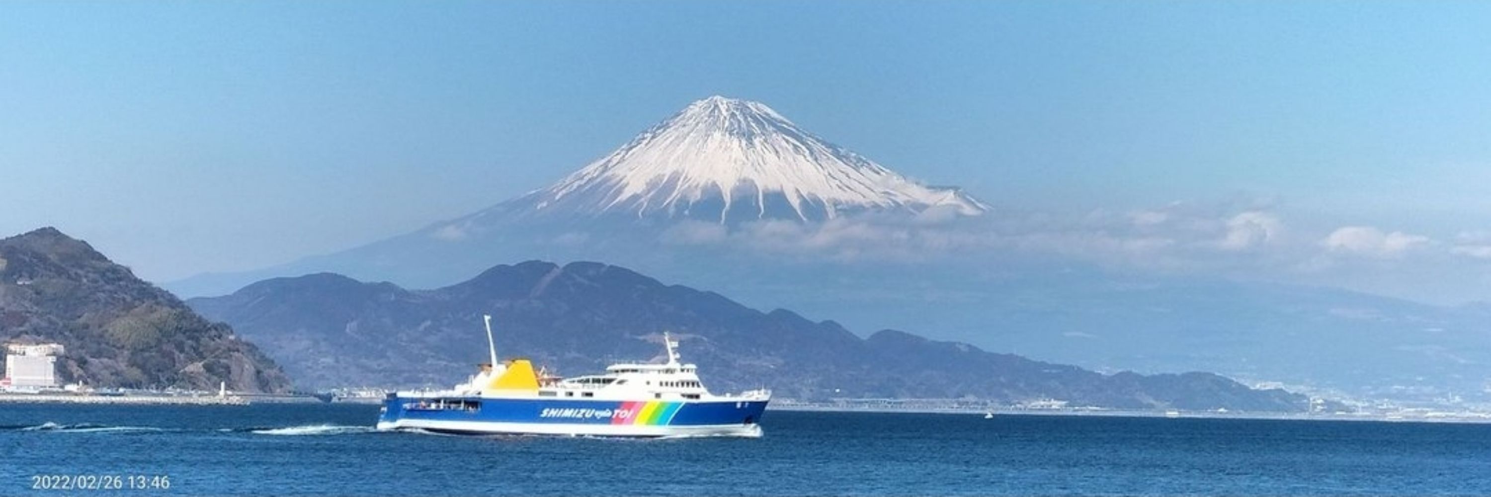 紫苑